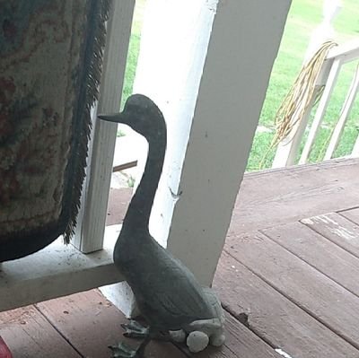 justinlweber's profile picture. just been road hard