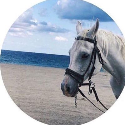 abomoha64's profile picture. استغفر الله العظيم واتوب اليه