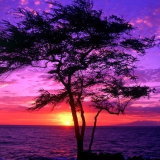 itz_saintking's profile picture. Your connection determine your collection. 
#Don't ever stop pushing forward in life.