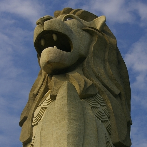 sgblogs's profile picture. 