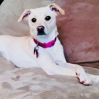 k_poppy4's profile picture. Here for the snacks...💕💋🦴