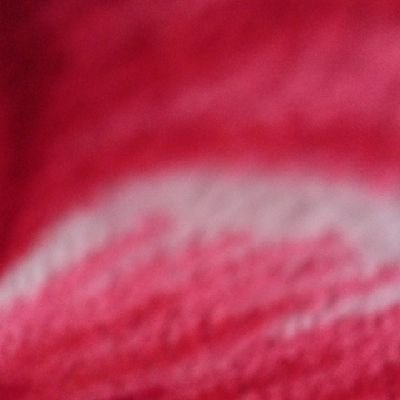 2021Tools's profile picture. ‏بني آدم ساكت