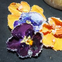 うえ (@1nmr) 's Twitter Profile