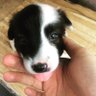 JEMendozaINQ's profile picture. Covering Philippine elections and defense
MORE: https://t.co/LfRBpkDKH1