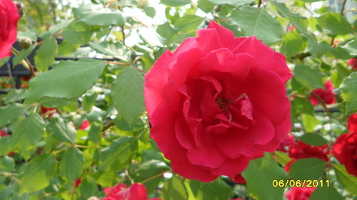 qotnrud2282's profile picture. 