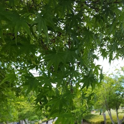 中小企業診断士の学習記録のため、勉強アカウントにしました!
2024年秋 簿記3級取得、2級は勉強中
企業はもちろん、医療機関、飲食店のサポートなど、出来るようになりたい✨️
出身は愛知。北関東在住です。
診断士受験生、診断士をしている先輩方々と情報交換出来ると嬉しいです。よろしくお願いします🙇