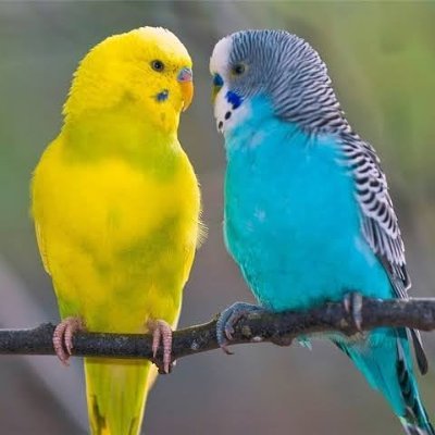 kukuri248's profile picture. 