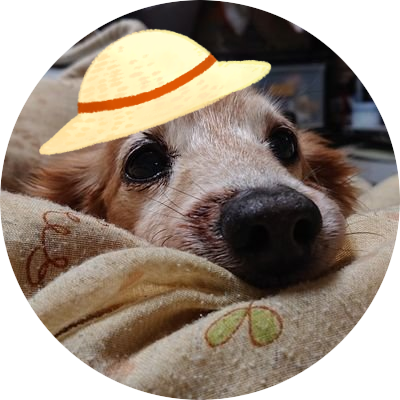 のんびりと呟いている今日この頃。提督やってます最近さにわもやっています。
成人済みです。おそ松さんが好きです。チョロ松さんが可愛くて生きるのが楽しい毎日
3男右固松箱推しで最近opの外科医さんdcmkの怪盗さんにもどっぷりです✧٩(ˊωˋ*)و✧