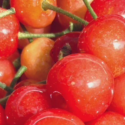 arashiwokataru's profile picture. にのあいに触るな