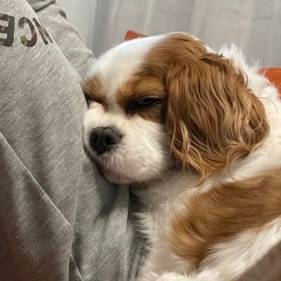 風花 検索したらみんな特に叩くわけでもなく Toshiyaの服の心配やら 笑 皆藤愛子ちゃんが元ギャだとか やっぱり虜 ディルのファン ってほんましっかりしてるなーって思う 常識的な人が多い しょうもないことで炎上したり叩いたり潰したりファン同士が 風花 検索したらみんな特に叩くわけでもなく Toshiyaの服の心配やら 笑 皆藤愛子ちゃんが元ギャだとか やっぱり虜 ディルのファン ってほんましっかりしてるなーって思う 常識的な人が多い しょうもないことで炎上したり叩いたり潰したりファン同士が