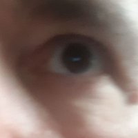 Vecchio Piede (@vecchiopiede) 's Twitter Profile