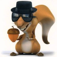 blind squirrels โ๏ธ๐๐๐๏ธโ๐ฟ (@blindsquirrel70) 's Twitter Profile