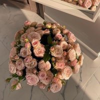 غدي (@ghadi_aljehani) 's Twitter Profile Photo