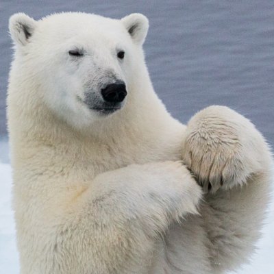 DanielG48320131's profile picture. Team member of @privacy_guides.