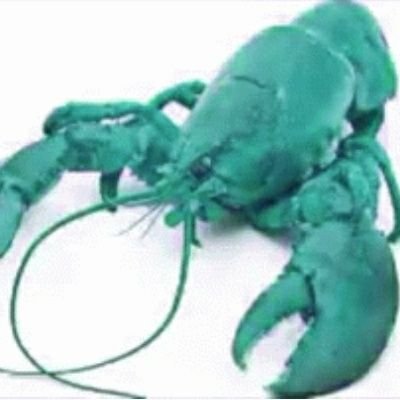 LoberEnjoyer's profile picture. 