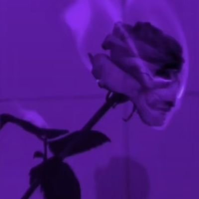 3lvisYoo's profile picture. for dumb stuff and giggles