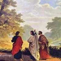 Senait Abraham (@senaitabraham8) 's Twitter Profile