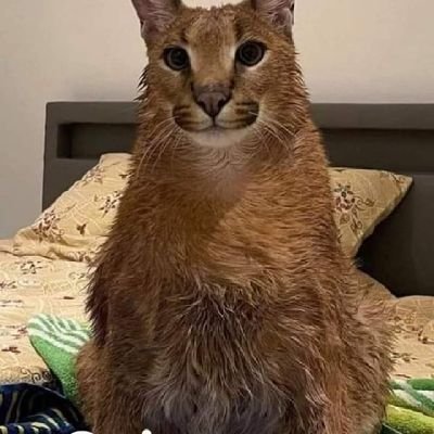 Sosam79143787's profile picture. nada