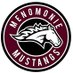 Menomonie Football (@menomoniefb) Twitter profile photo Menomonie Football (@menomoniefb) Twitter profile photo