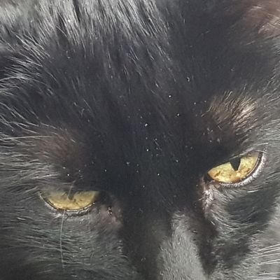 TheKnocker5's profile picture. someone no one has seen