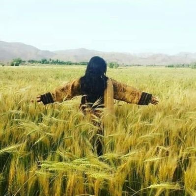 golokhandegh's profile picture. Studying in Turbat University|IR Student| Ordinary Girl in Search of peace.