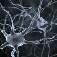 MultipleSclerosis_CME (@ms_cme) 's Twitter Profile