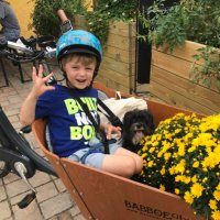 Kate F (@dutchbikemom) 's Twitter Profile Photo Kate F (@dutchbikemom) 's Twitter Profile Photo