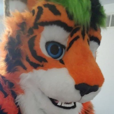 I do not identify as a Tiger.
I identify as a Humane Being. (but am tiger)

27/M/Gay
Head: @ByCats4Cats
Everything Else: @FurtasticStudios

🐅 and 🎮 
🧡🖤