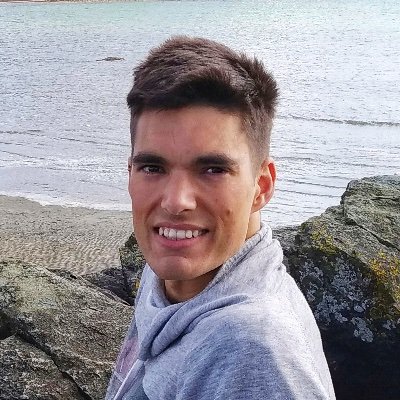 Postdoc fellow @JavierBuceta. Researching bacteria adaptation to stress and manipulation of cell division through membrane potential tools @i2sysbio