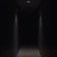 IDI (@iddddddddd_) 's Twitter Profile