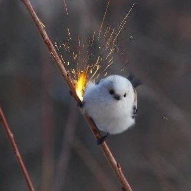 SonicGravity76's profile picture. Miles: when do I know I'm spiderman?    
         
Peter: You won't. 
That's all it is Miles.                   
A leap of faith