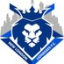 New London Lionesses FC (talks football) (@lionessesfc) Twitter profile photo