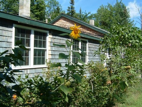 michjeff25's profile picture. 