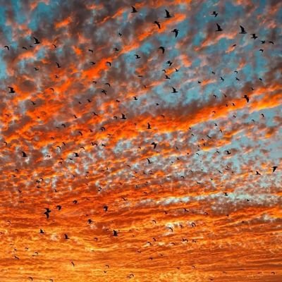 JoseIgnacioRic2's profile picture. sifuera fácil cualquiera lo aria