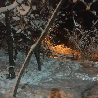 KriptoSadece's profile picture. Never give up! Just focus on the goal and work. #Bitcoin #ETH #Expert #Vstr #Nst #Hdn #Algo #Ltc