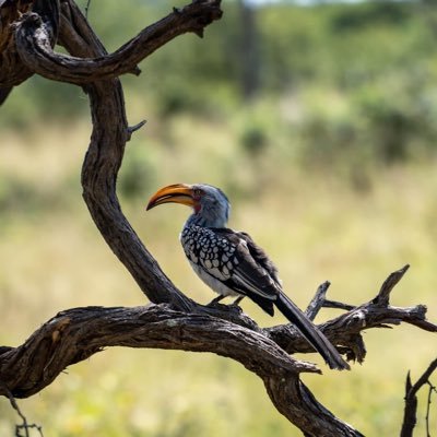 daisyrue's profile picture. l'm tall