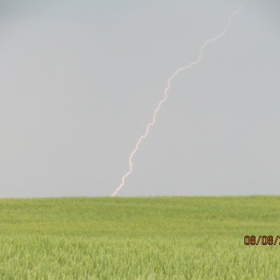 jimbo99991's profile picture. Rig pig and trader-- PPC