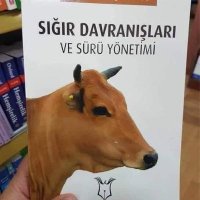 sKıyak (@selosk) Twitter profile photo