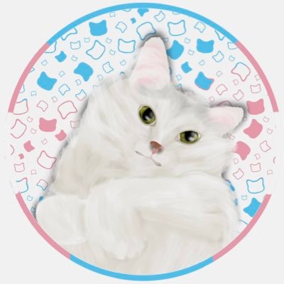 6 yr old turkish angora. comrade to all. whitey uses she/her, kit (manager human) uses he/him. pfp by @silkyselkies 🤍🏳️‍⚧️🤍