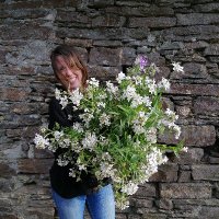 Flicky - Howe Hill Flowers(@felicity_hp) 's Twitter Profile Photo