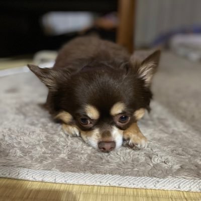 QaD3i's profile picture. 