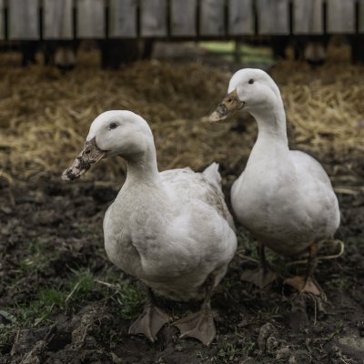 Tom_0_o_moT's profile picture. ゲームも勉強もダンスもしたい大学生