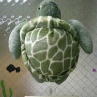 つるかめ鍼灸院🐢アキレス腱炎専門 (@turukame4189) 's Twitter Profile Photo つるかめ鍼灸院🐢アキレス腱炎専門 (@turukame4189) 's Twitter Profile Photo