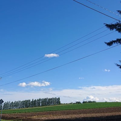 YFYHawhIqWB2zA5's profile picture. 2025年4月より動画編集しています