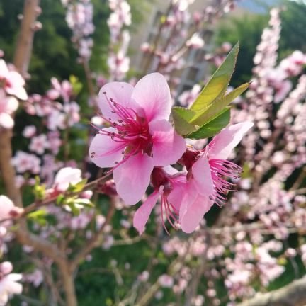 bysnny_gunes's profile picture. 