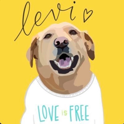 Levi the Rescue Dog 🐶