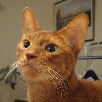 香月勝則：Katsuki Katsunoriさんのプロフィール画像