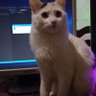 VaneDev3's profile picture. Developer en proceso de dominar Java y madre de un Senior Java.