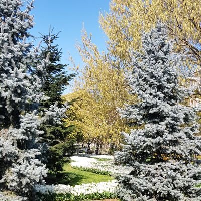 gitmek_lazim's profile picture. Keşif yolculuğu