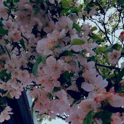 Mexican_Chickenさんのプロフィール画像